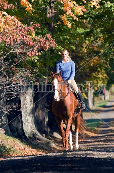 Young woman riding a chestnut horse. 