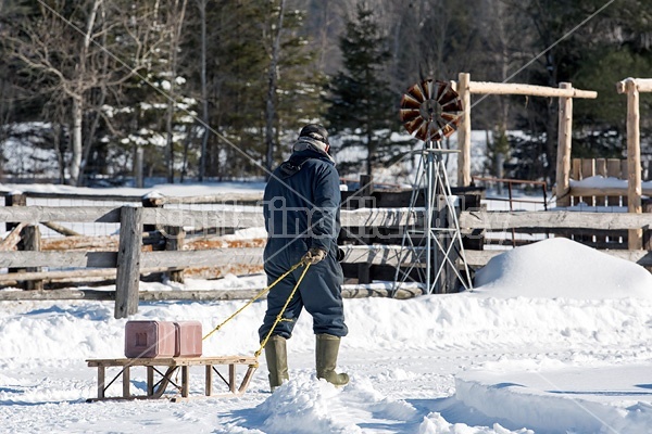 Farmer pulling salt and mineral blocks on old wooden sleigh to put out for animals