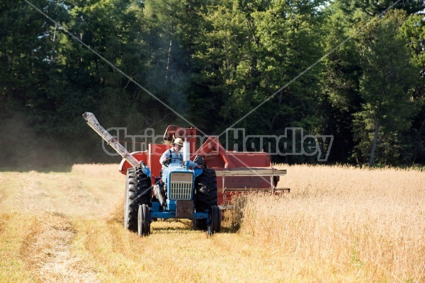 Farmer combining oats with a tractor and pull behind combine