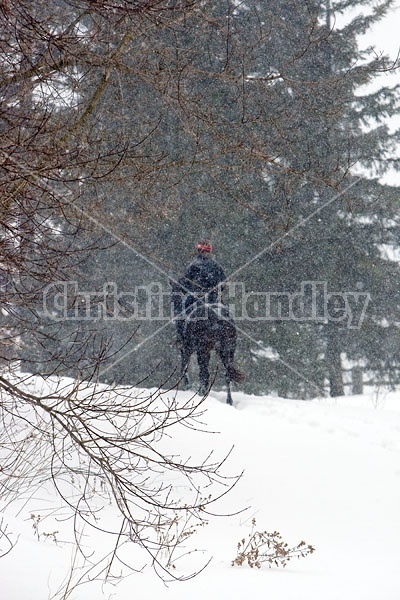 Woman horseback riding in the winter