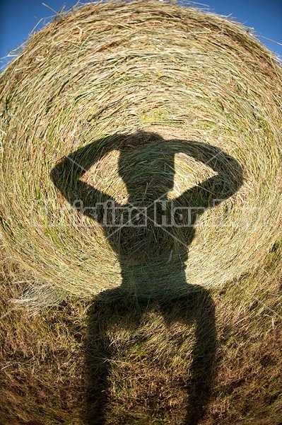 Maling fun selfie shadows on the side of a round bale of hay