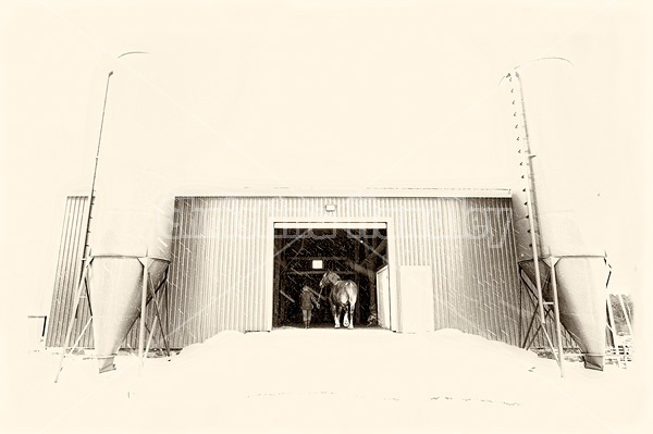 Woman walking horse into barn