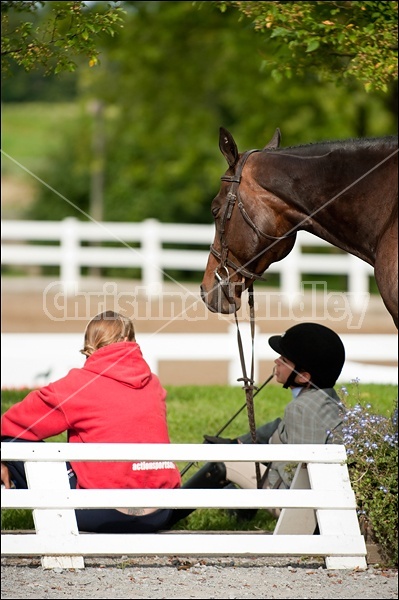 Hunter Jumper Show at Blue Star Farm