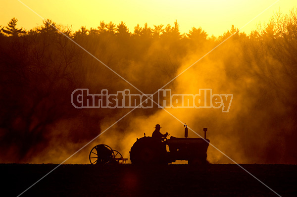 Farmer driving tractor pulling seed drill seeding oats