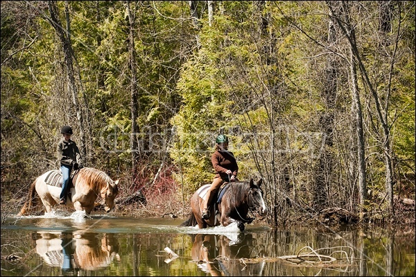 Riding Rocky Mountain Horses