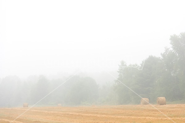 Farmer baling round bales of straw