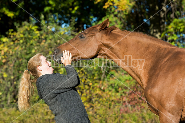 Woman with her Thoroughbred horse