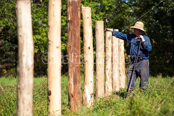 Farmer building new fence