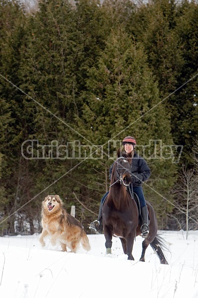 Woman horseback riding in the winter