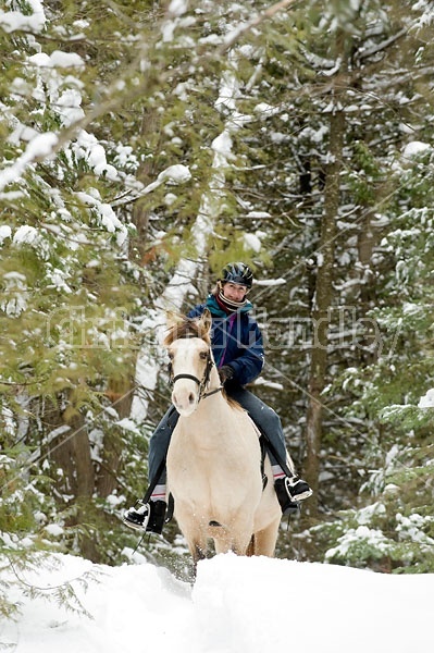 Horseback riding in the snow in Ontario Canada