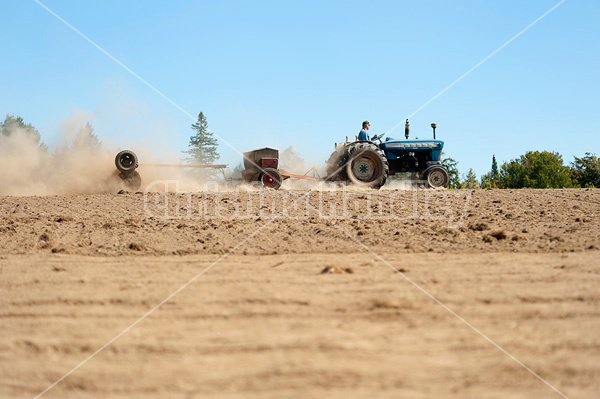 Farmer driving tractor and seed drill seeding oats