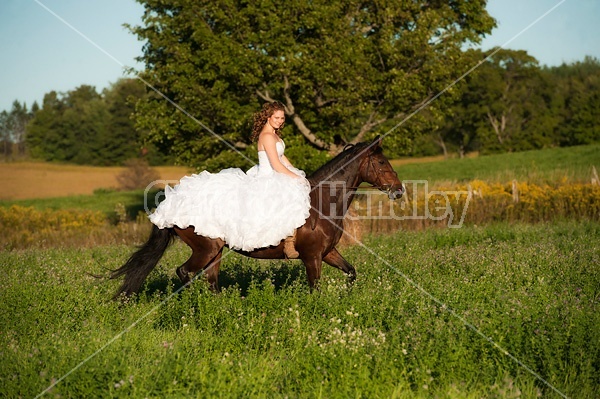 Woman riding horse wearing a wedding dress