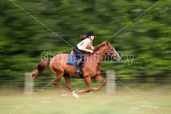 Young woman riding chestnut Thoroughbred horse.