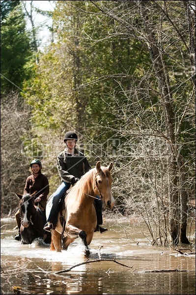 Riding Rocky Mountain Horses