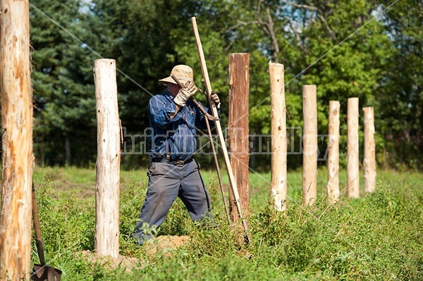 Farmer building new fence