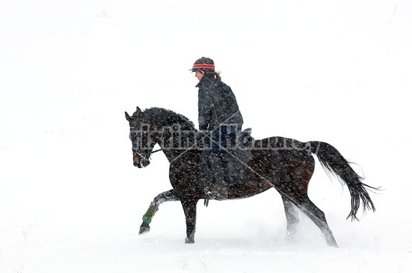 Woman horseback riding in the winter