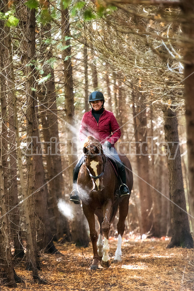 Woman horseback riding in cedar forest in dramatic light