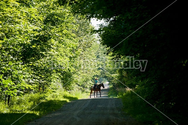 Woman trail riding on Standardbred mare