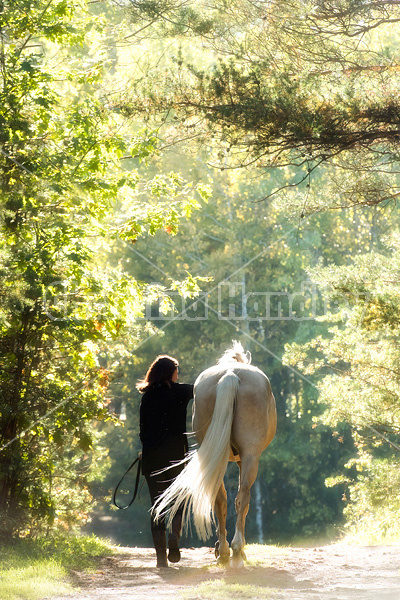 Woman with a palomino horse