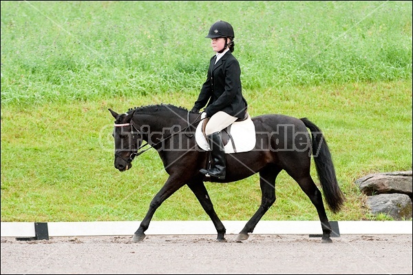 Lanes End Horse Trials