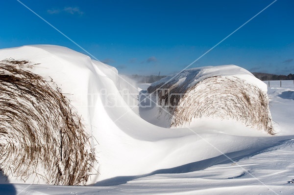 Round bales of hay covered in snow