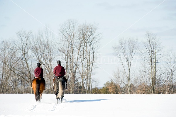 Husband and wife horseback riding through the deep snow