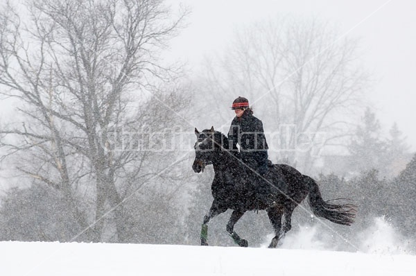 Woman horseback riding in the winter