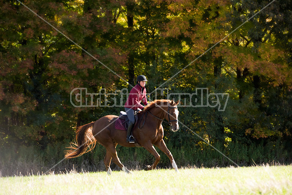 Woman riding chestnut horse in the autumn time