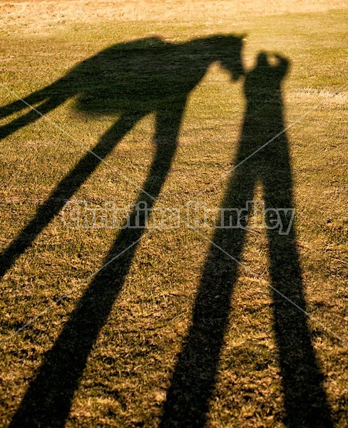 A fun and funky long shadow of a person and their horse on the grass