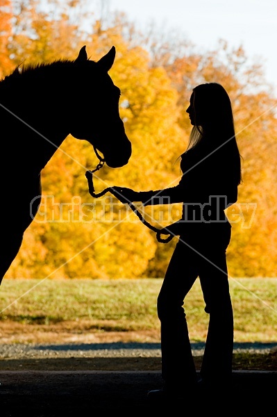 Silhouette of woman and horse in barn door