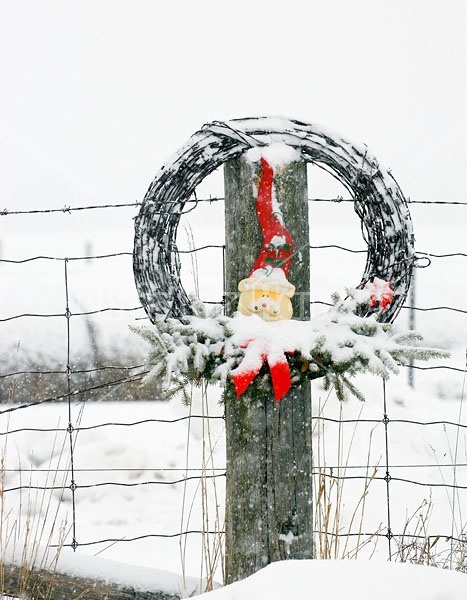 Barbed Wire Wreath hanging on Fence