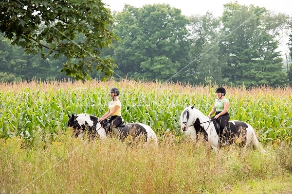 Two women riding Gypsy Vanner horses