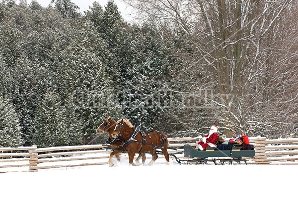 Santa Claus driving sleigh