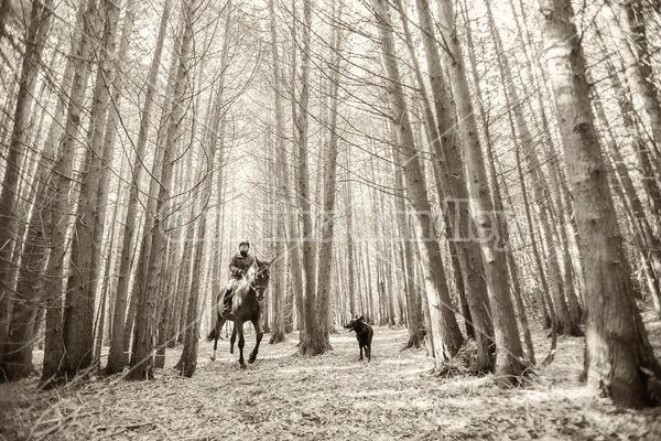 Woman horseback riding in cedar forest