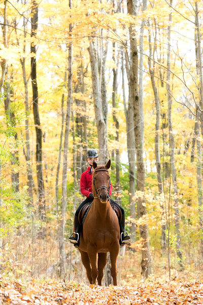 Young girl horseback riding through the autumn colored forest