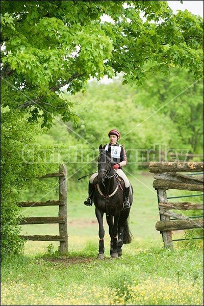 Horse Trials