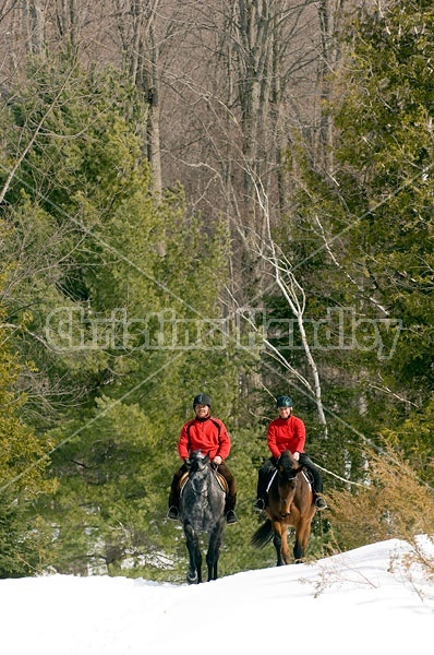 Horseback Riding in the Winter in Ontario Canada