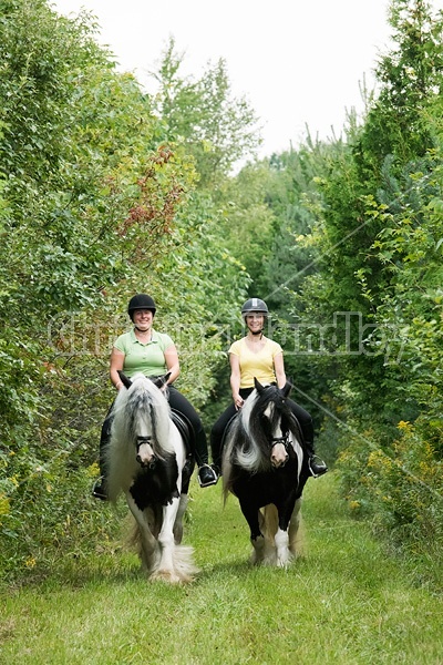 Two women riding Gypsy Vanner horses