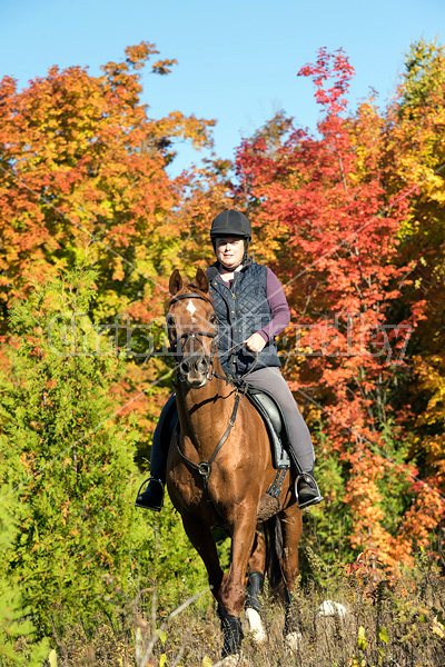 Woman riding a Chestnut Thoroughbred horse