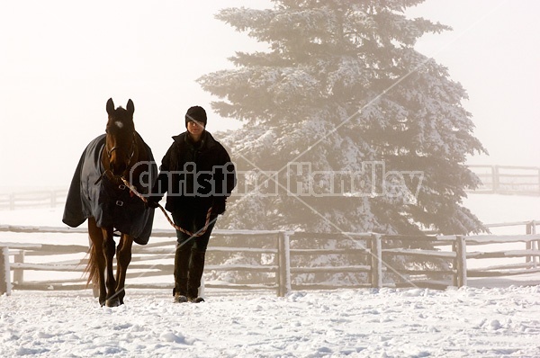 woman and horse