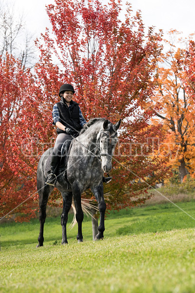 Young woman riding gray horse in the autumn colors