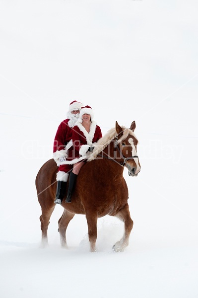 Santa Claus and Mrs. Claus riding double on a Belgian draft horse