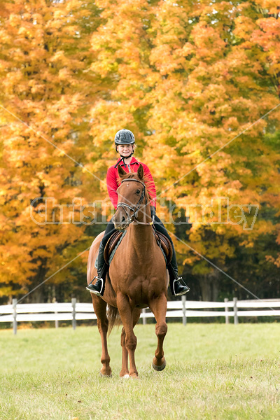 Young girl horseback riding through the autumn colored forest