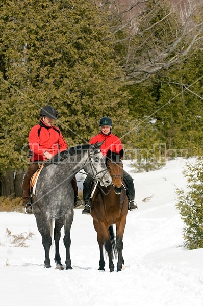 Horseback Riding in the Winter in Ontario Canada