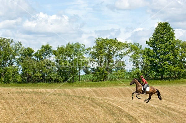 Woman horseback riding in field