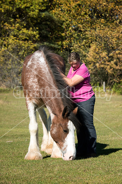 Portrait of a woman with her Clydesdale draft horse