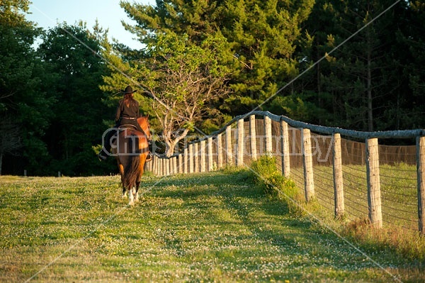 Young woman riding her American Paint horse mare