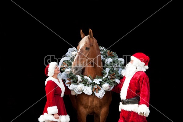 Santa Claus and Mrs Claus standing with a Belgian draft horse with a Christmas wreath over its head.