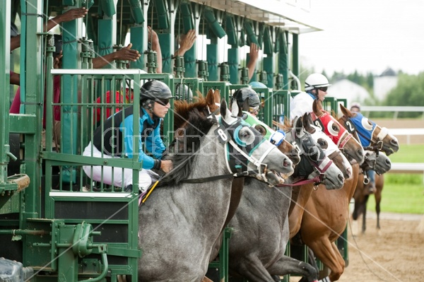 Quarter Horse Racing at Ajax Downs