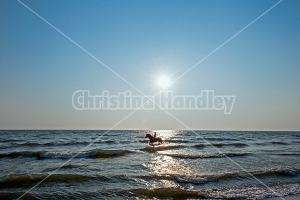 Silhouette photo of woman riding a horse bareback.